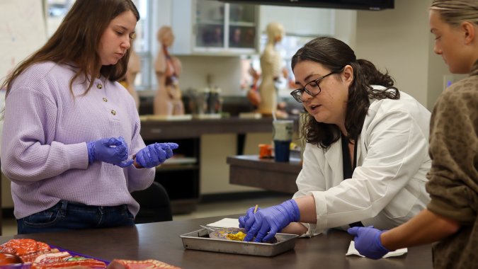 students performing a dissection 