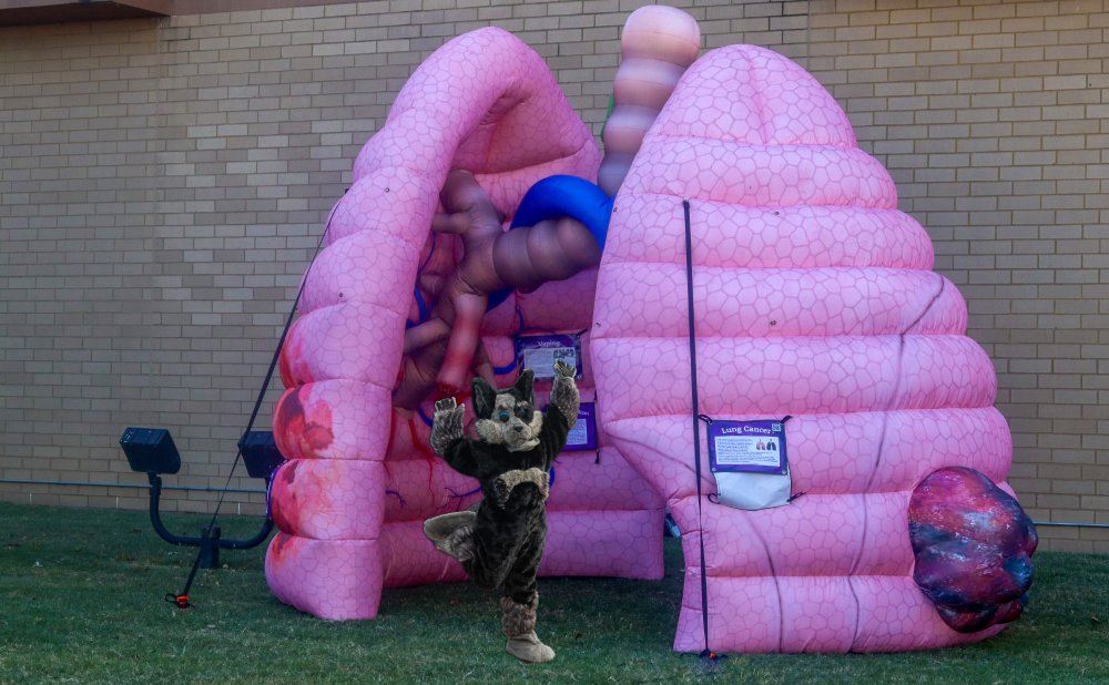 Hartley inside the Inflatable Lungs