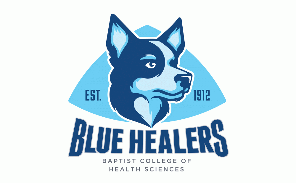 The Blue Healers Blue Healers Mascot