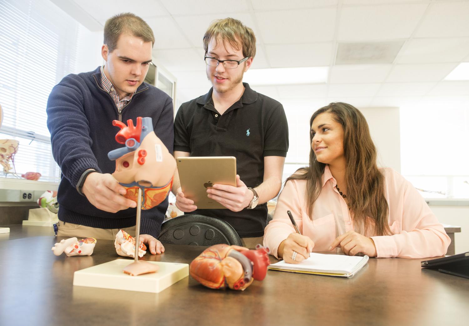 Students in lab looking at the anatomy of the heart.