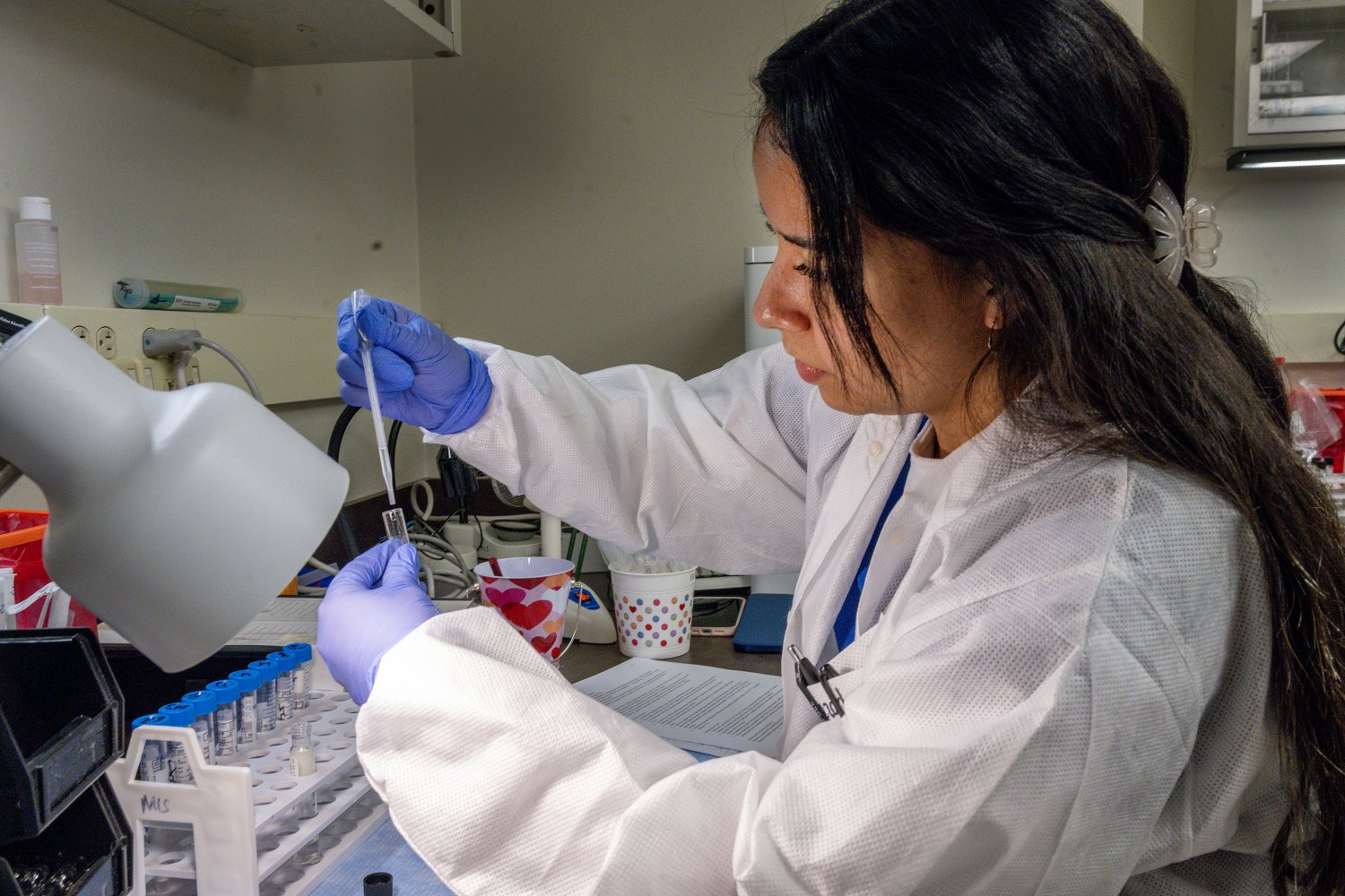 MLS student in the classroom lab