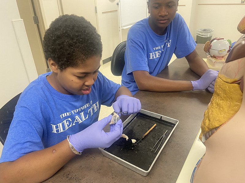 Two students wearing blue “The Future is Health” t-shirts and purple gloves work at a lab table. One student is focused on dissecting or examining a small specimen using dissection tools over a black tray, while the other looks on attentively. A life-sized anatomical torso model is visible on the table beside them.