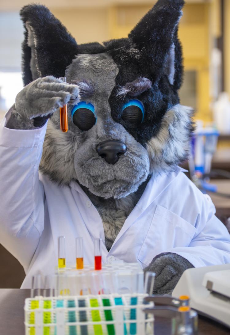 Hartley in the Chemistry Lab