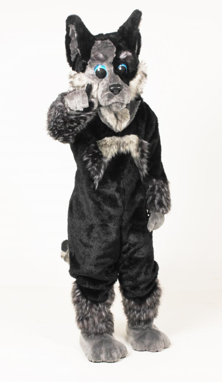 BHSU Blue Healer