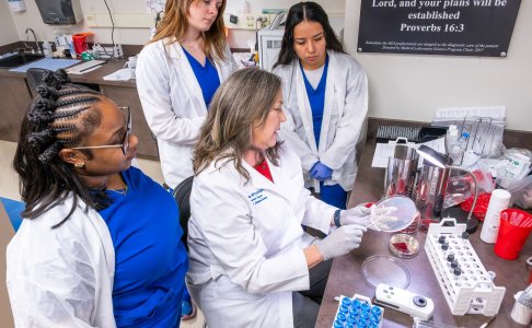 Medical Laboratory Science