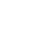 lungs icon